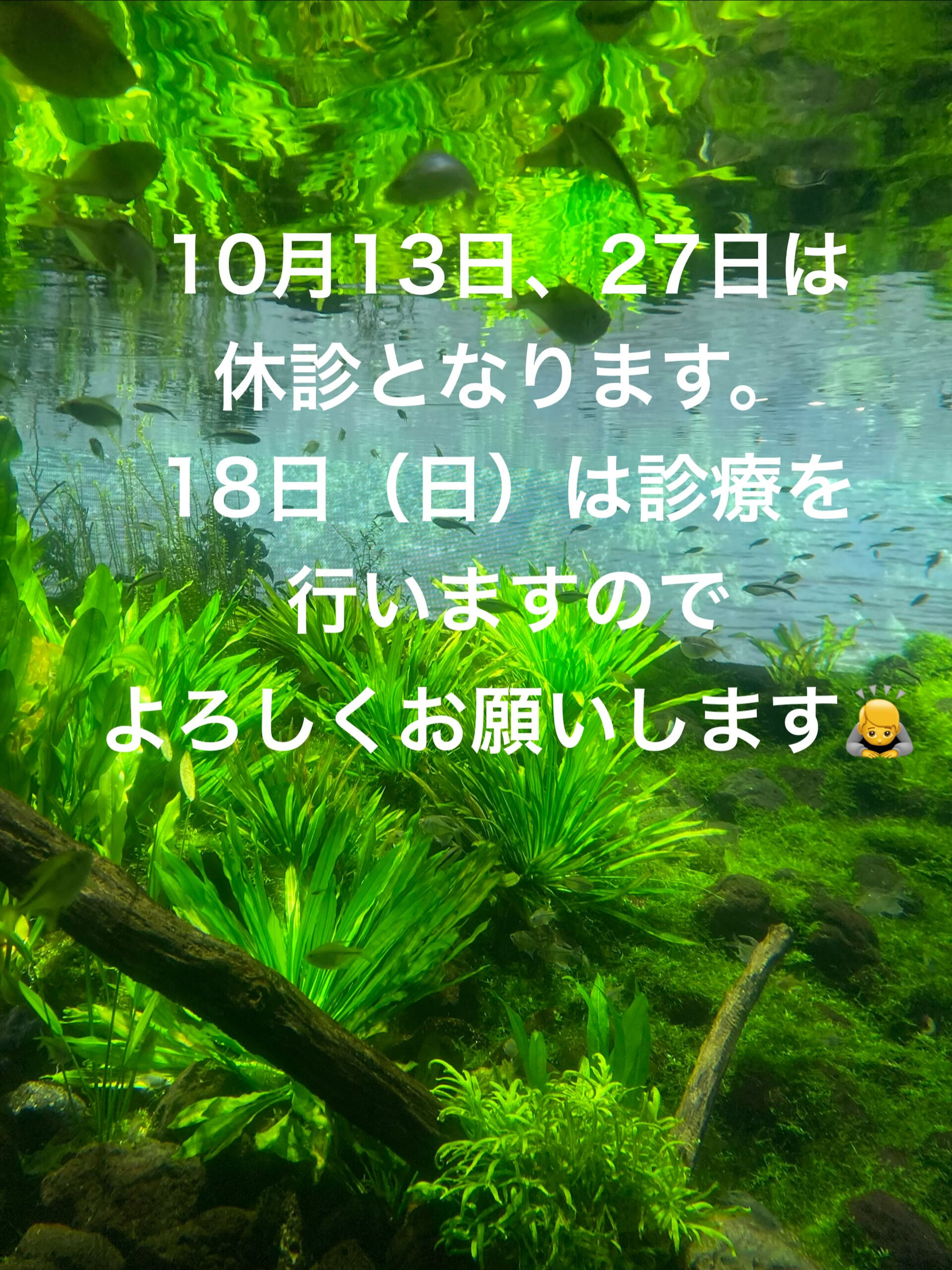multi_image